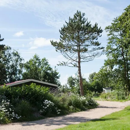 Strand49 Chalet Aanzee * Sint Maartensbrug